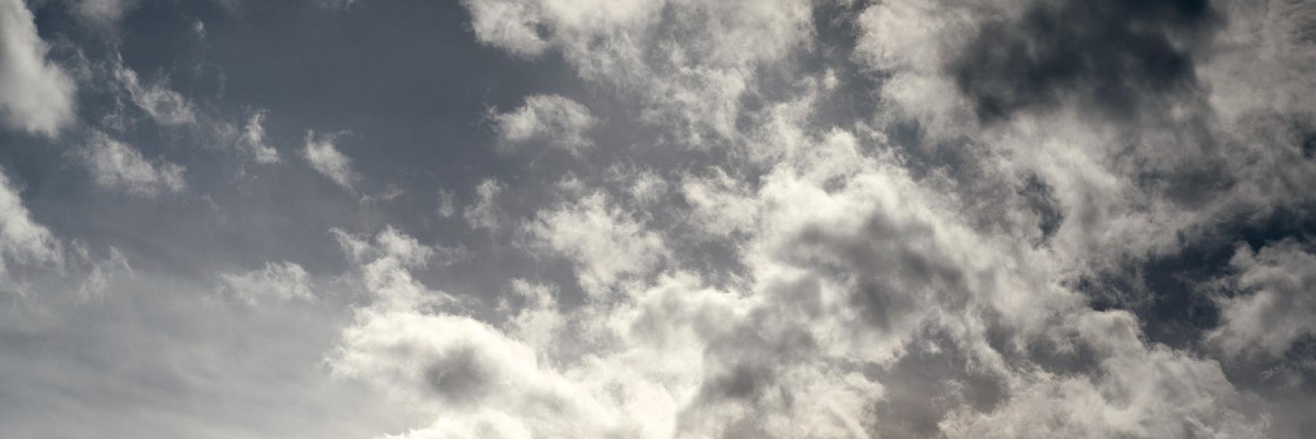 The Big Sebowski banner