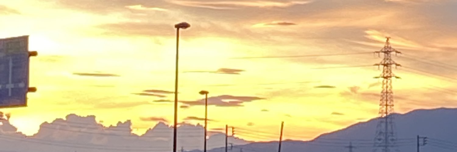 猫が好き【ごはん】 banner