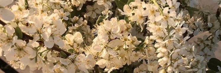 s_r_202's profile banner image