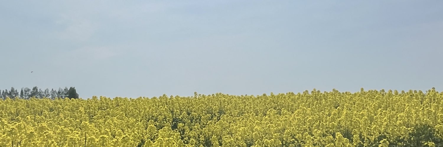 ringxpan's profile banner image
