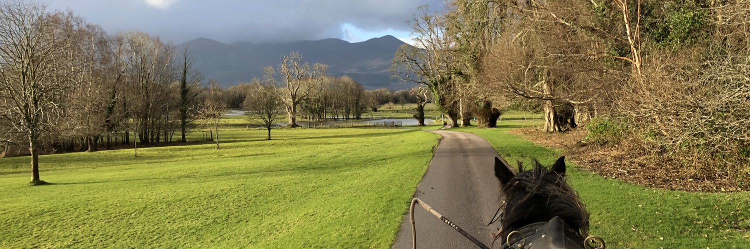 Maureen A. Coyle, PhD (she/her) banner