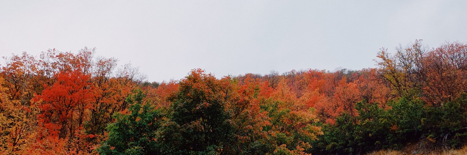 brooklyn_smith2's profile banner image