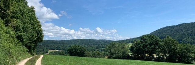 Tilo Rosenberger banner