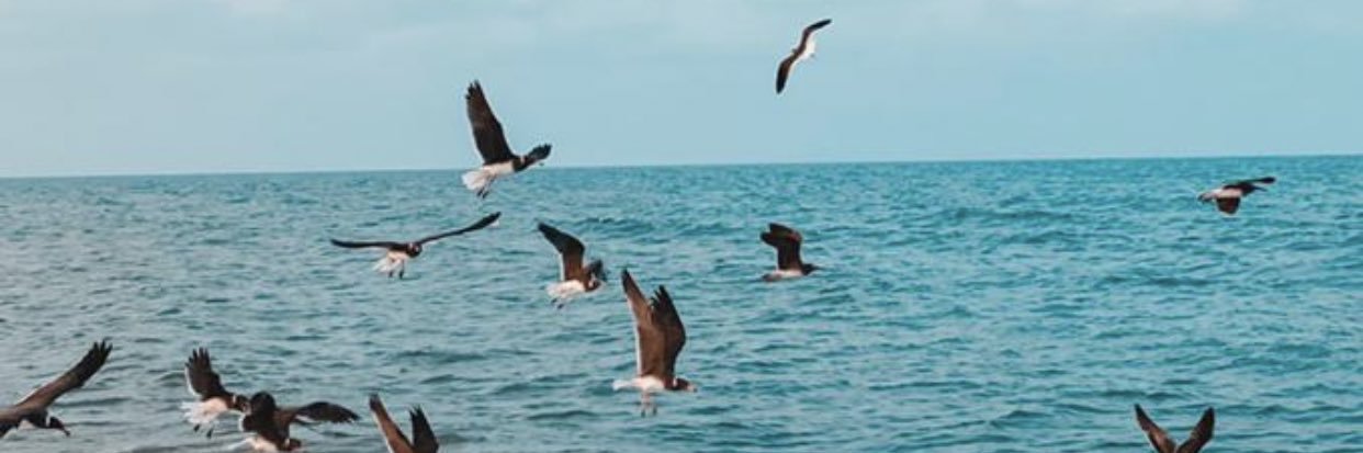 ‏﮼افنان banner