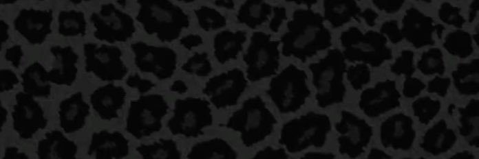 tay monae 🧚🏽‍♀️ banner