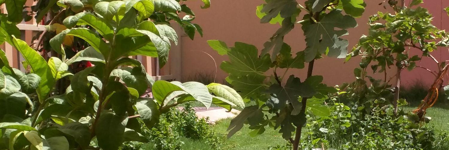 salma40's profile banner image