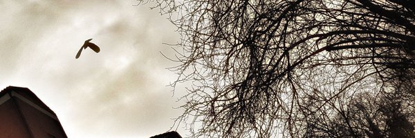 juanan_cv Profile Banner