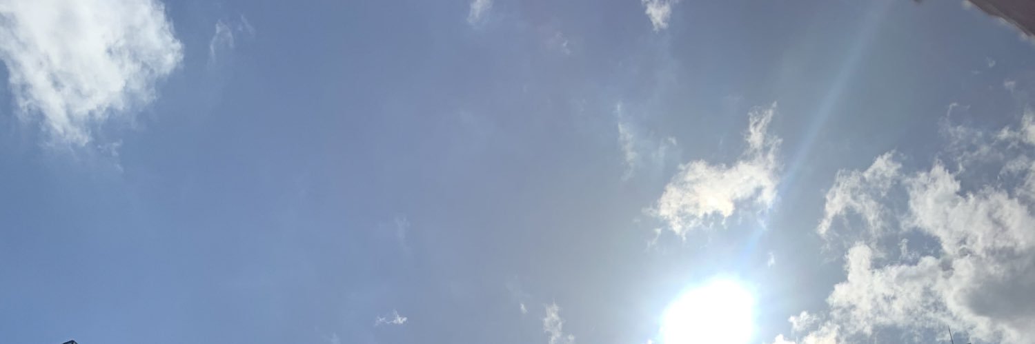 ねこまたぎ banner