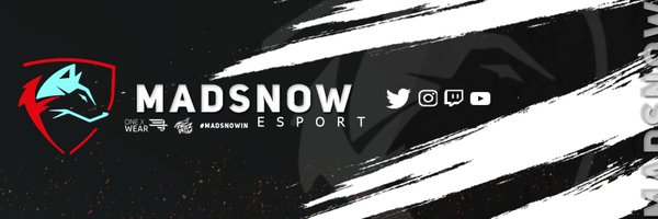 Team Madsnow Profile Banner