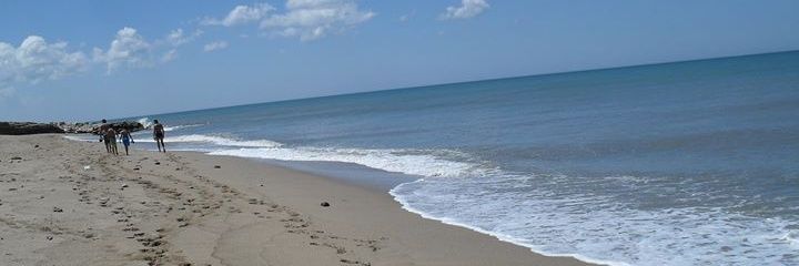 Tamarg56's profile banner image