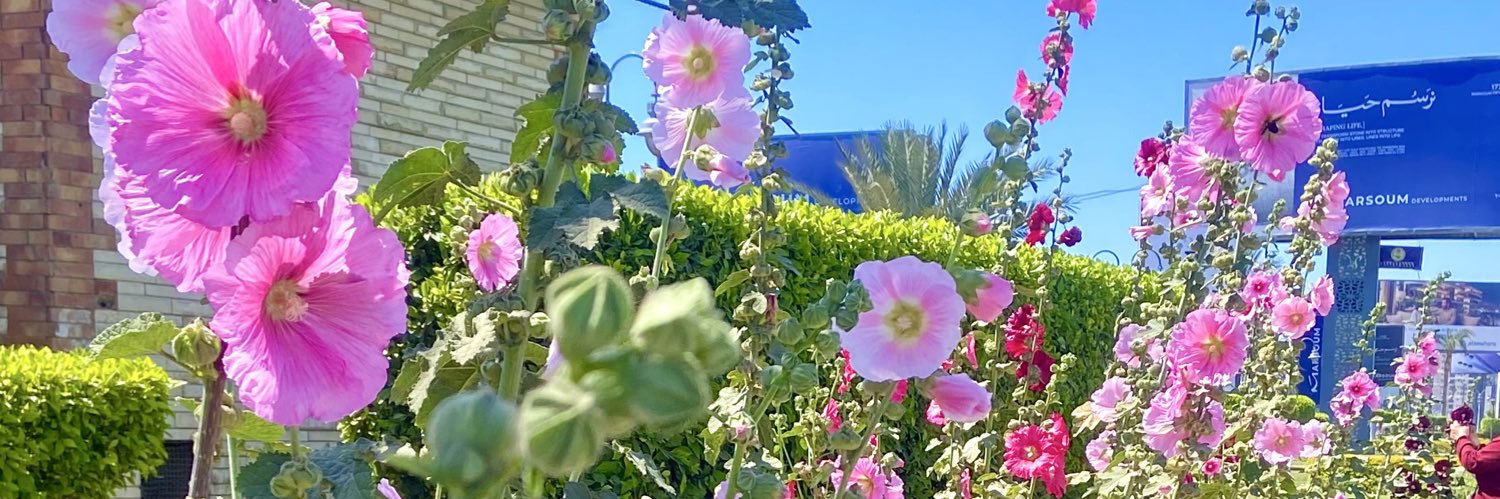 Hagar💫 banner