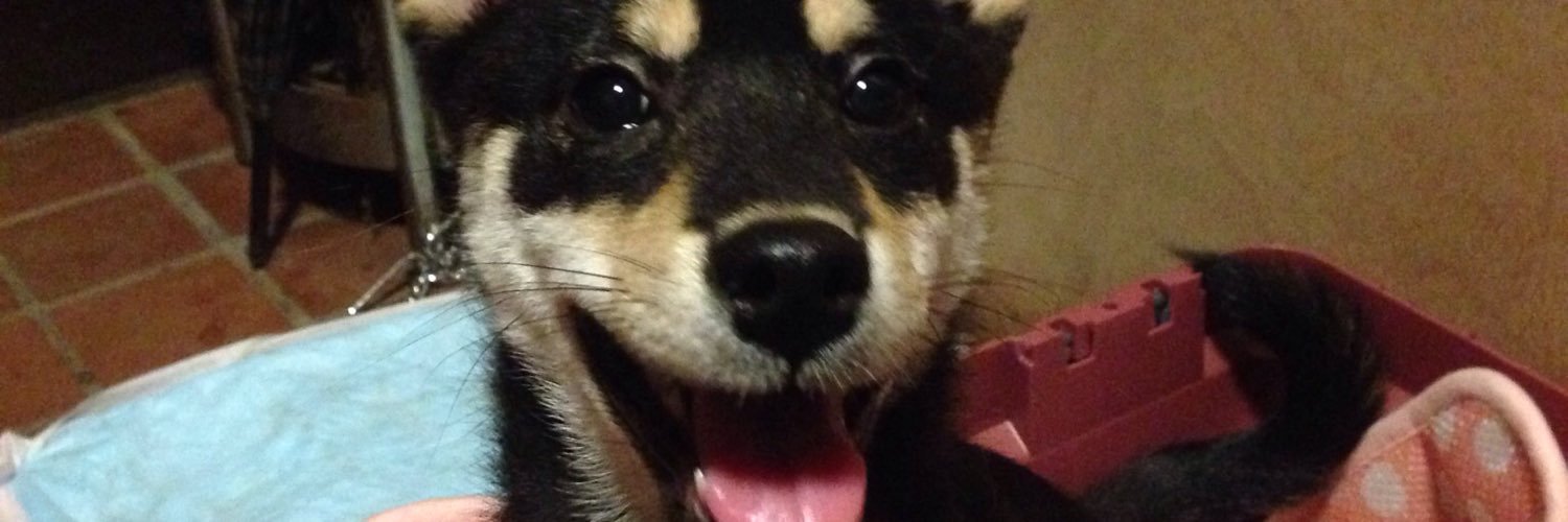 natugasukidayo's profile banner image