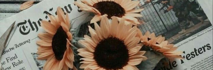amerasjong's profile banner image