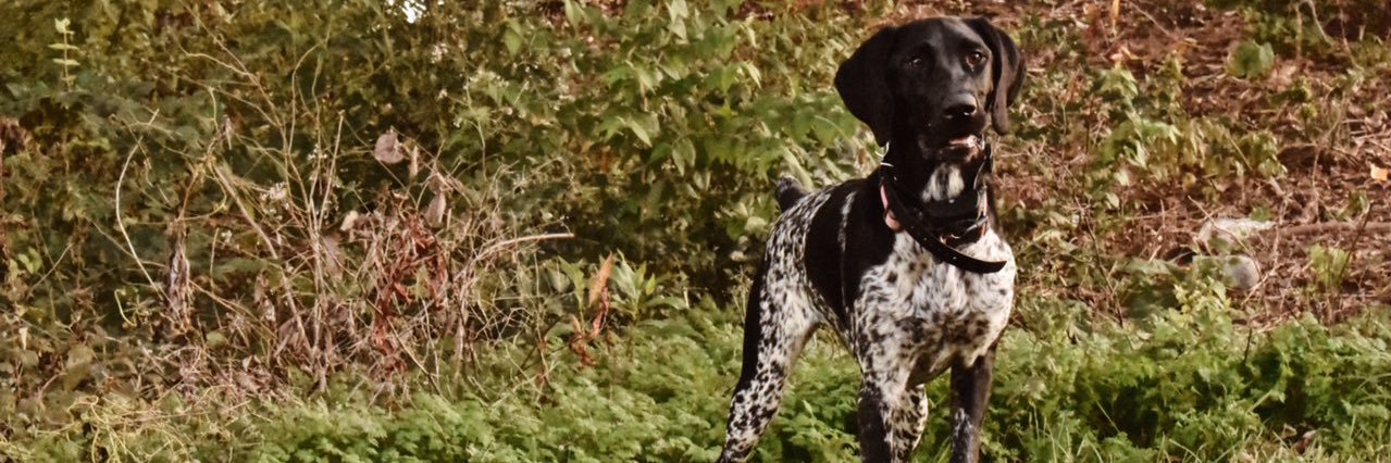 austynhatton's profile banner image
