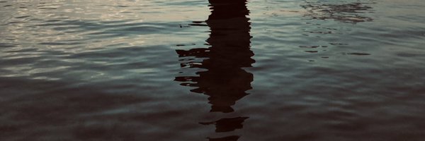 vaxiuss Profile Banner