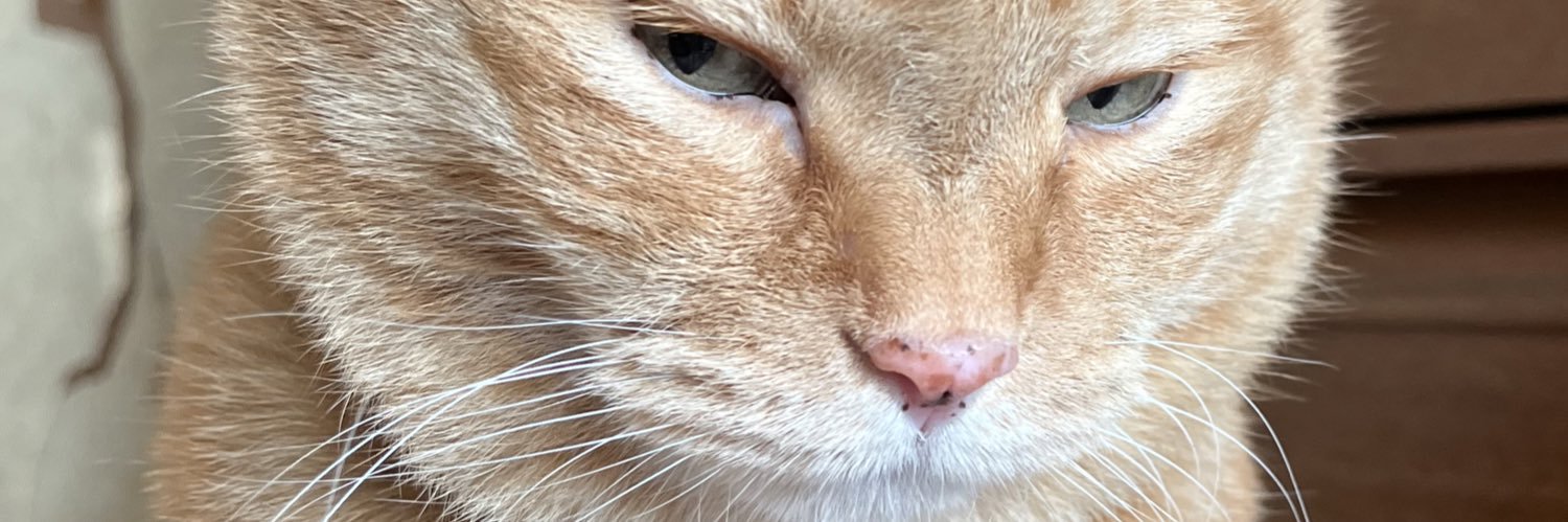 はたけ 無駄に元気な無口性悪クソ女 banner