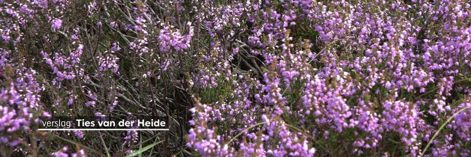 Ties van der Heide banner