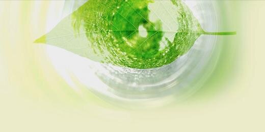 ForeverCaro's profile banner image