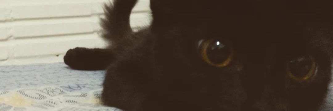 angelsb64's profile banner image