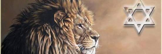 chinompj's profile banner image