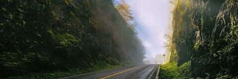 Hugo_SanchezQ's profile banner image