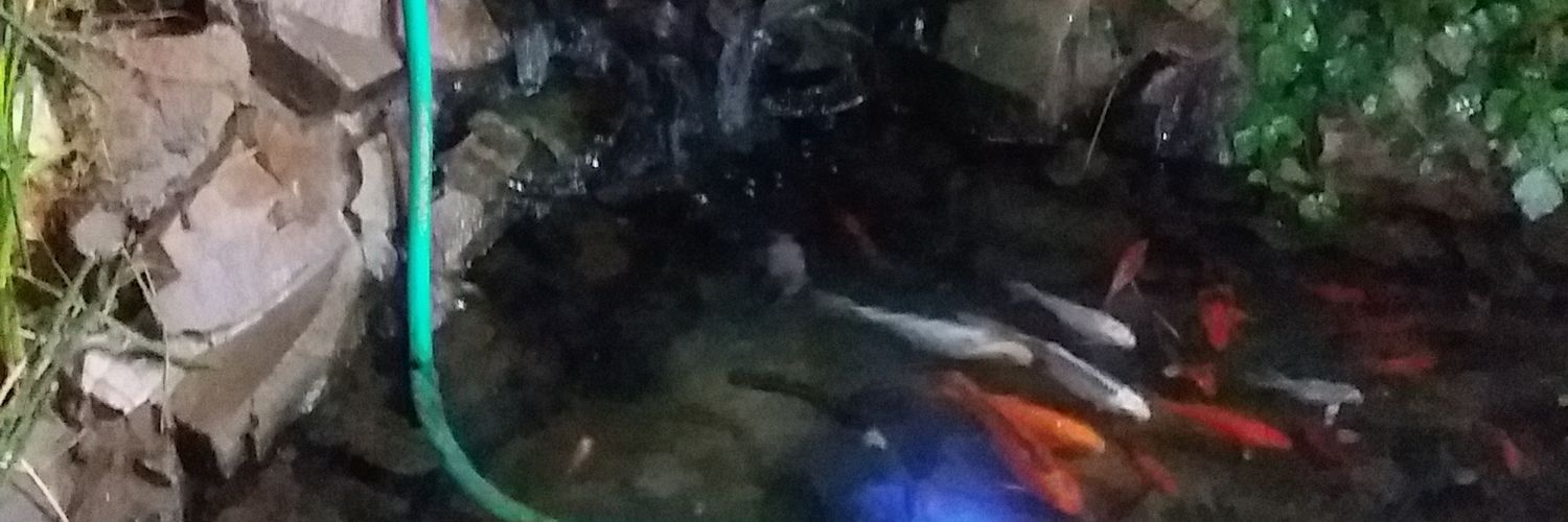 Mamdoseinam's profile banner image