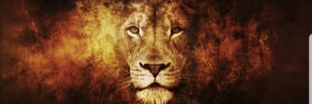 Guilherme Alegretti banner