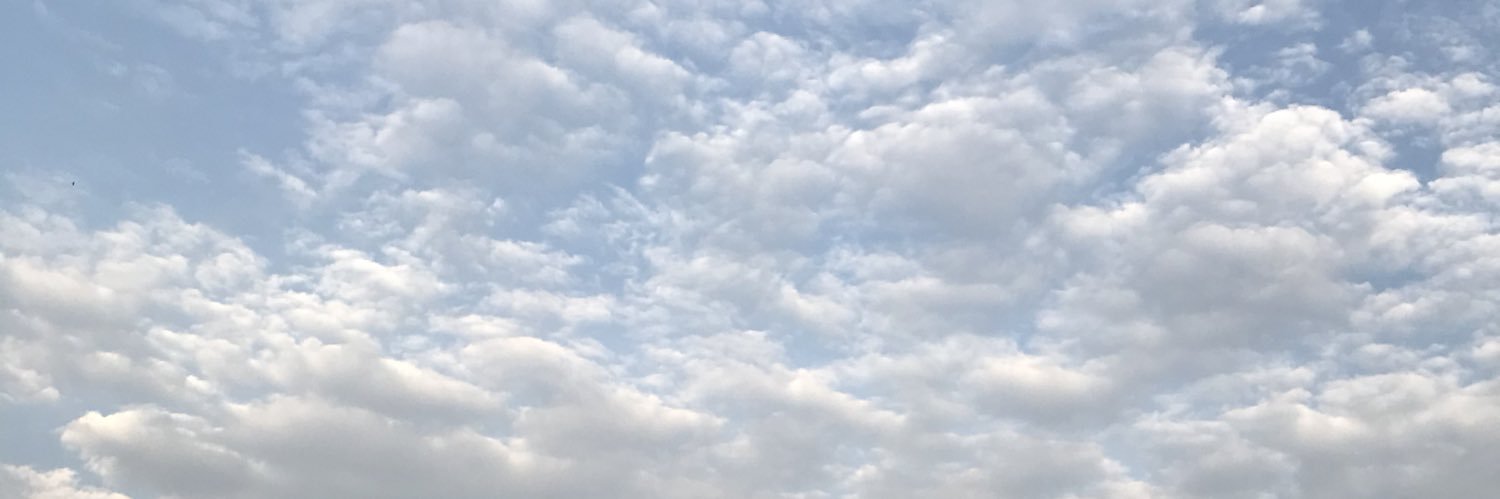 icawithouth banner