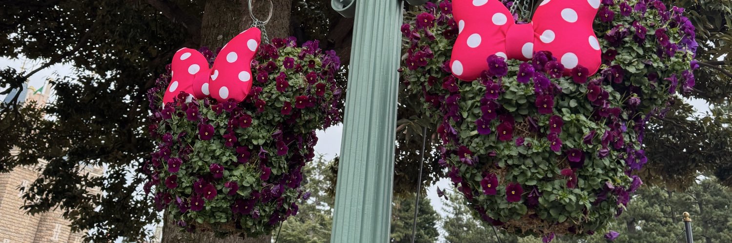anna0w0's profile banner image