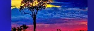 elidaleon's profile banner image