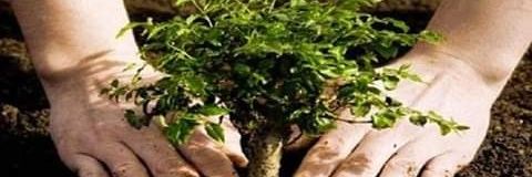 nitinsbhati's profile banner image