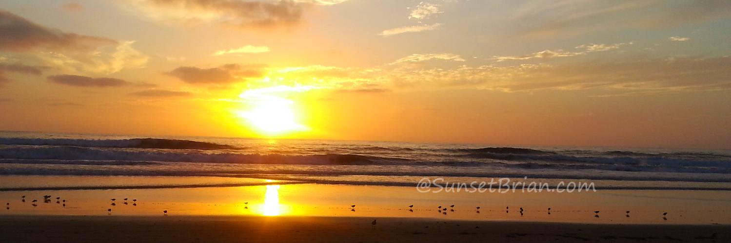 Sunset Brian 🌻☀️ banner