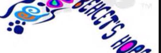 simbaonlus's profile banner image