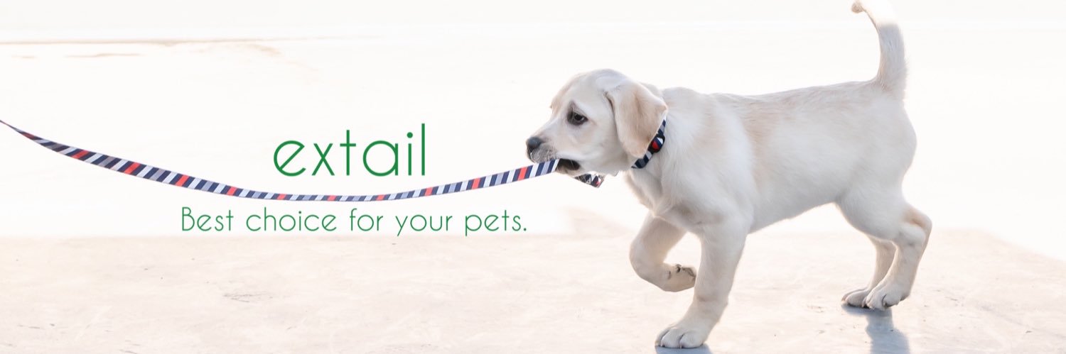 extail's profile banner image