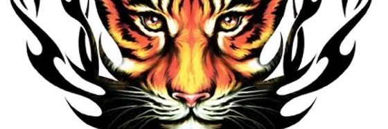 Vanjava226's profile banner image