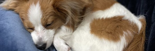 aomathwift Profile Banner