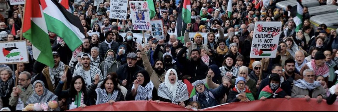 🇩🇿🇵🇸 banner