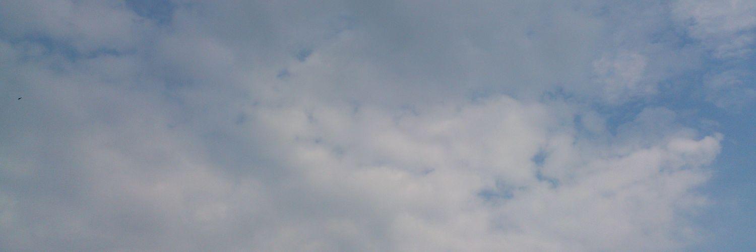 Crimsonfalcons's profile banner image