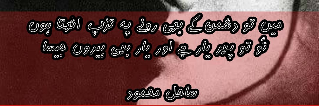 Sahil Mehmood banner