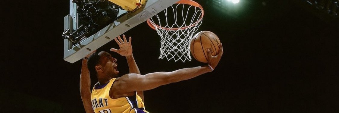 毛2狗 banner
