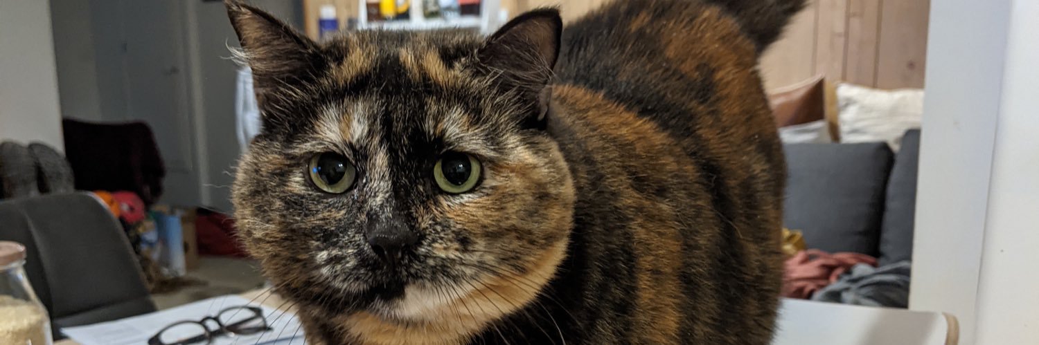 Ben Hocking (he/him) banner