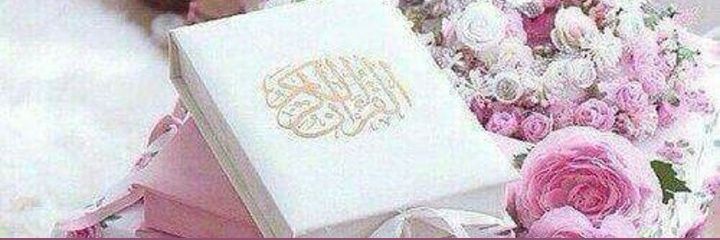Junaid86328556's profile banner image
