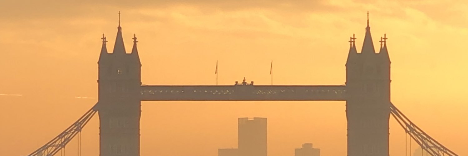 PATRICIA REY banner