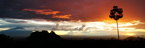 nquadriMD Profile Banner