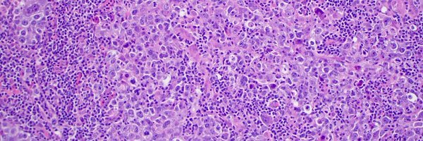 CadePathologyMD Profile Banner