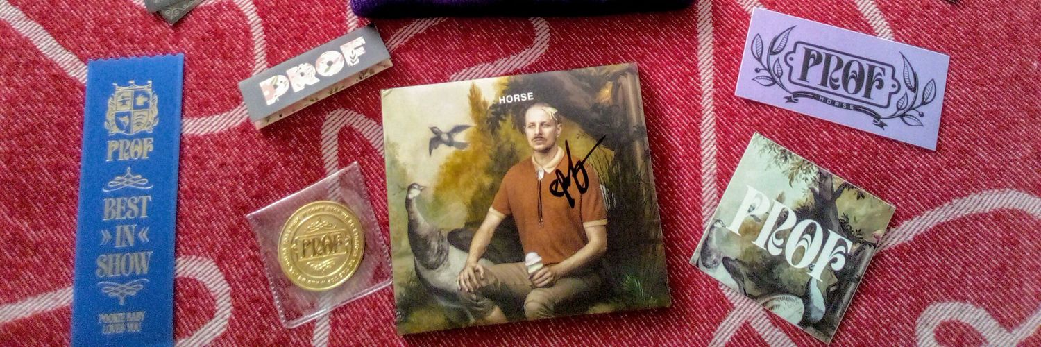 Nolan Zebra 3 banner