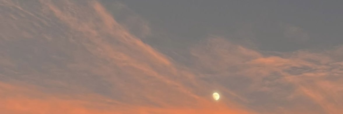 raisgrave's profile banner image
