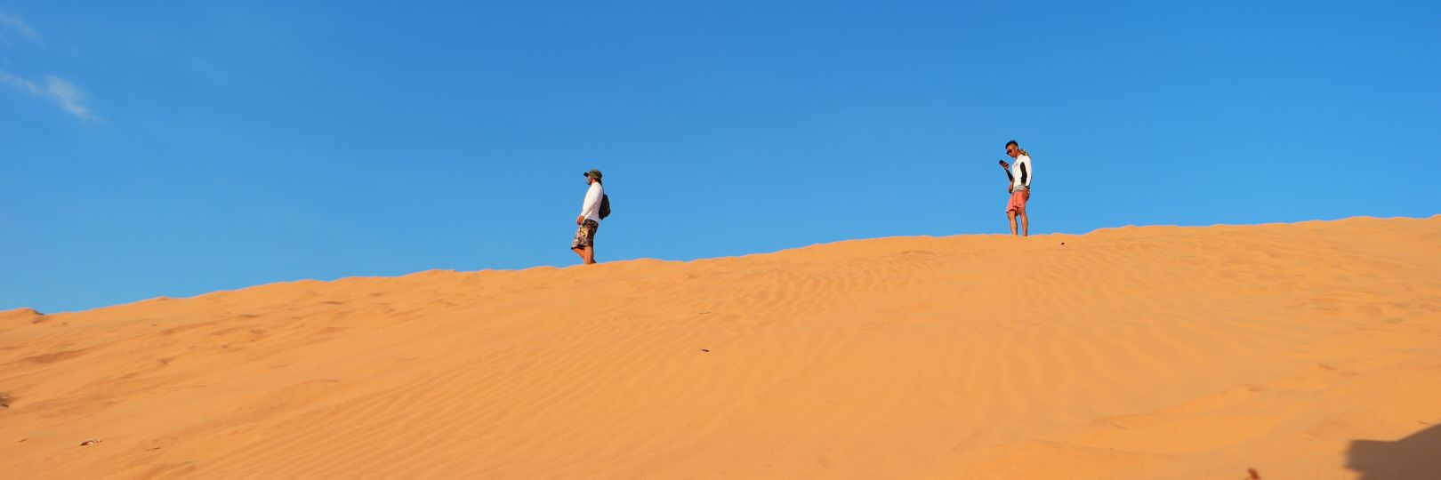 Iam0wl's profile banner image
