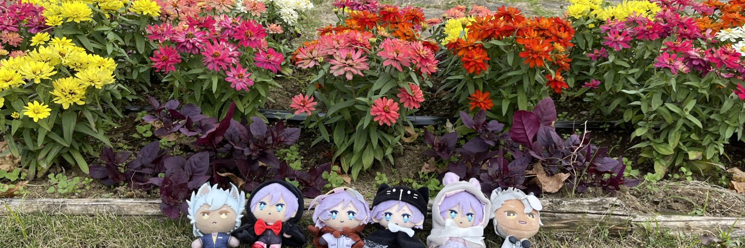 chiroru1231's profile banner image