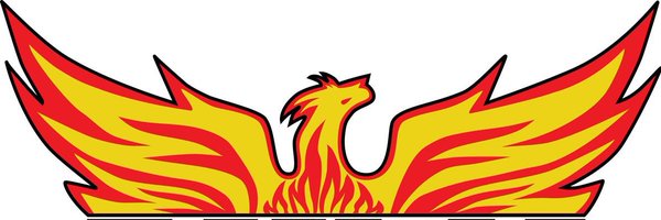 DHMiddleAPS Profile Banner